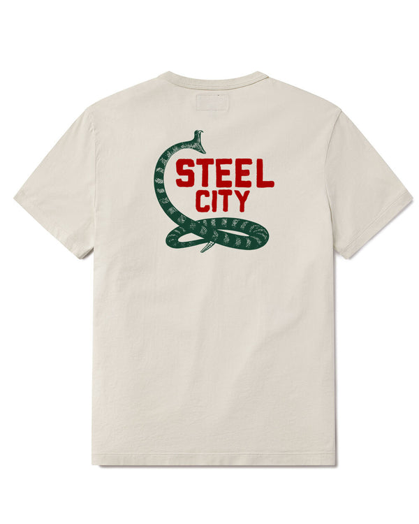 Snake Bite